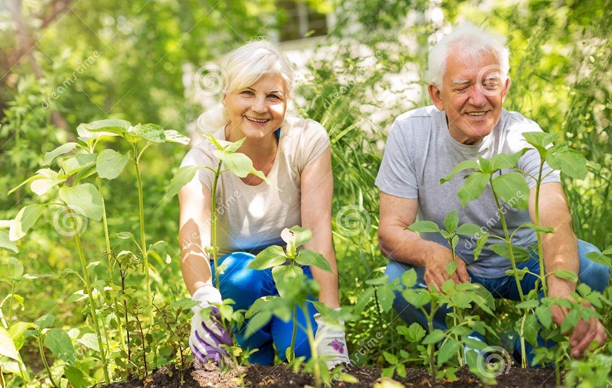 Tips To Make Landscaping Easier For Seniors